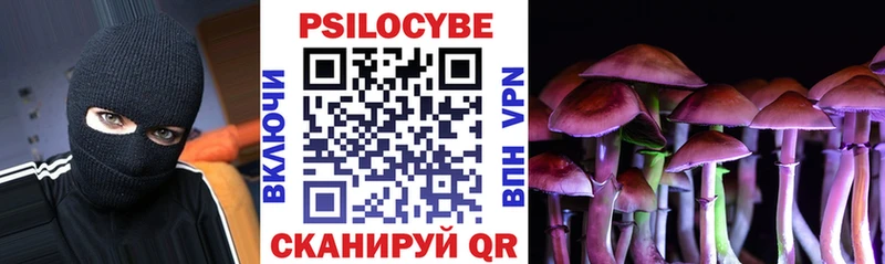 Купить закладки  Лесной  Псилоцибиновые грибы Psilocybe 
