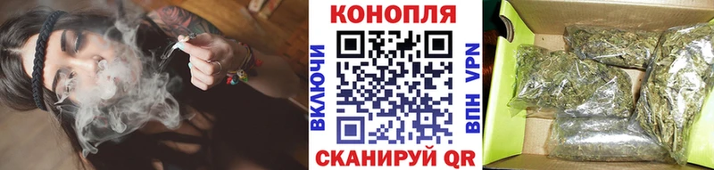 Конопля планчик  Купить где  Лесной 